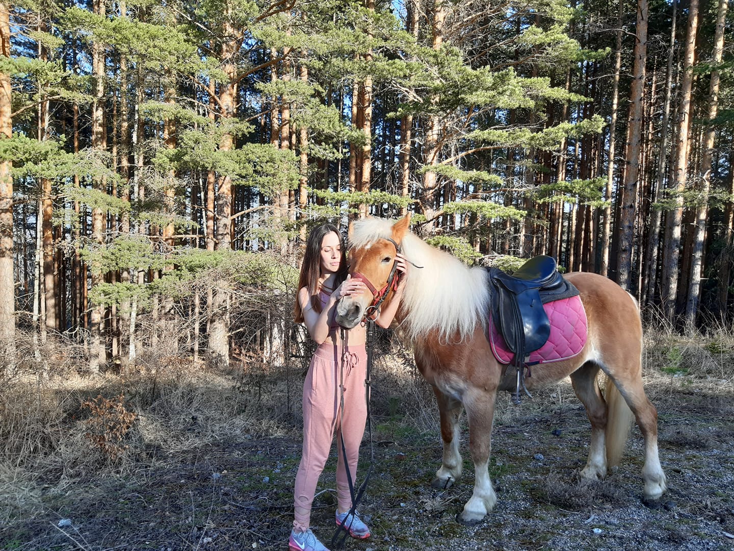 Конна езда във Витоша