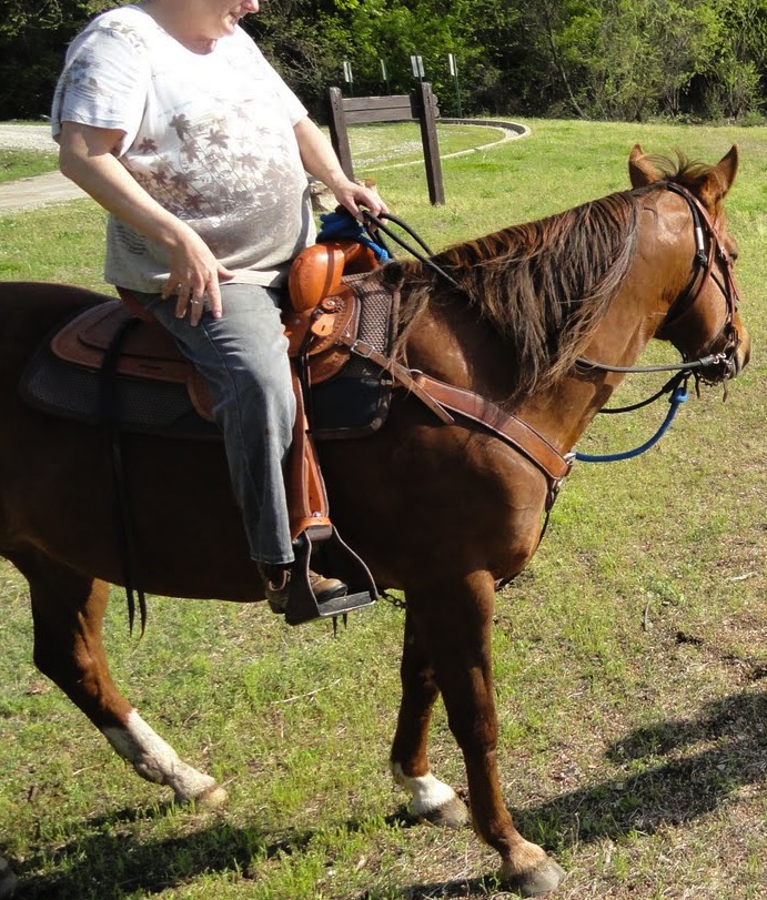 Heavy riders are dangerous to horses