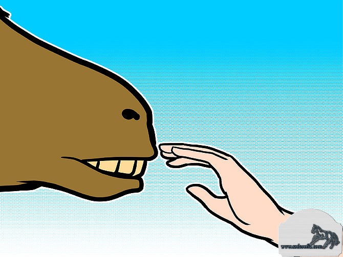 konna-ezda-teach-a-horse-to-smile-step-4