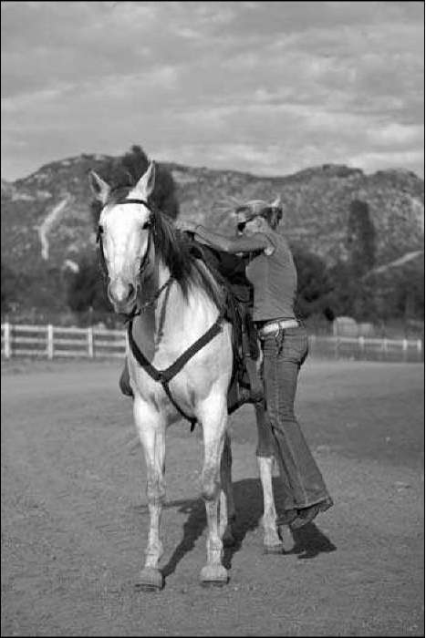western horse riding
